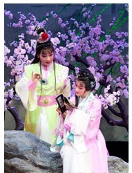 长安大戏院10月29-31日演出 杭州版越剧《红楼梦》