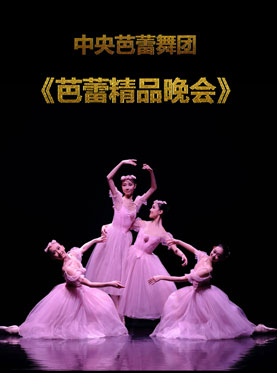 中央芭蕾舞团 《芭蕾精品晚会》
