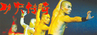 功夫传奇