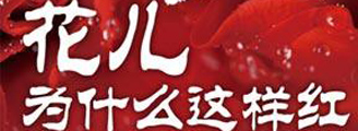 花儿为什么这样红——电影歌曲珍品名家节日演唱会